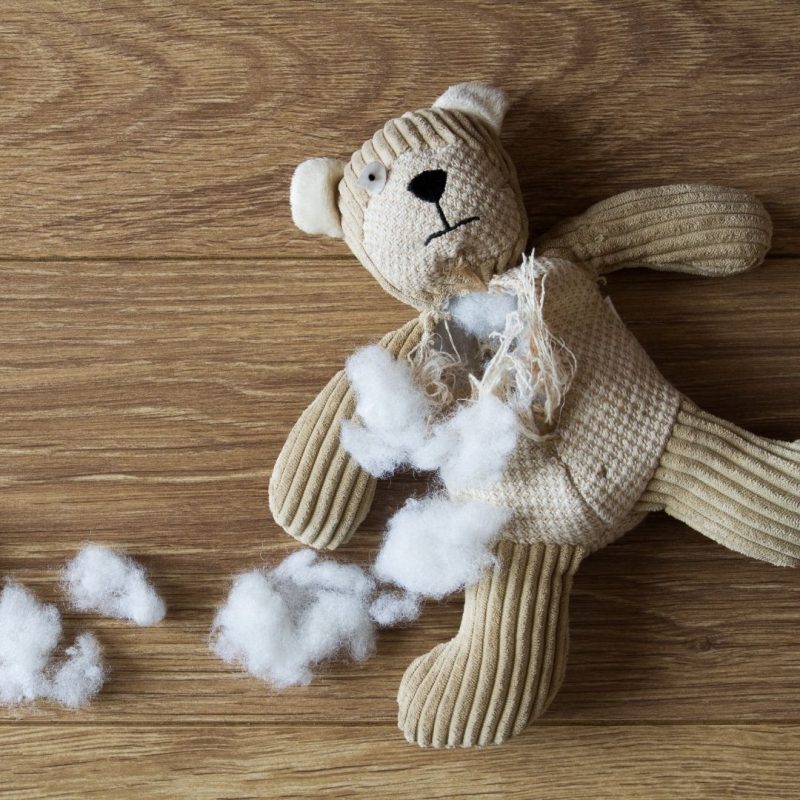 Winey Bears Stuffed Animal Repair Winey Bears