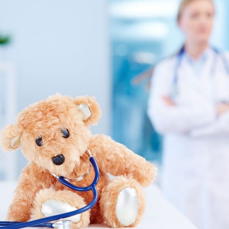 Winey Bears Stuffed Animal Repair Winey Bears